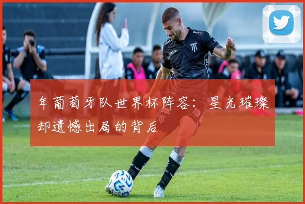 年葡萄牙队世界杯阵容:星光璀璨却遗憾出局的背后