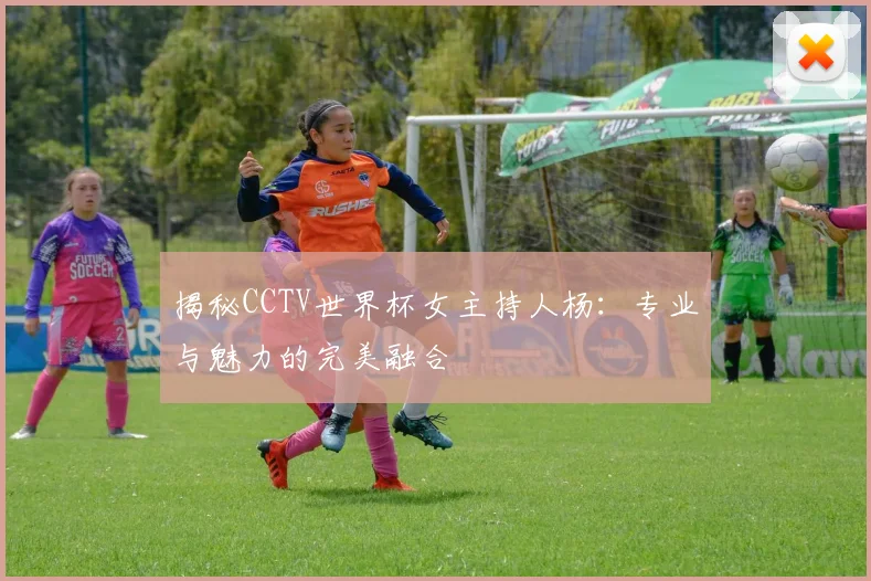 揭秘CCTV世界杯女主持人杨：专业与魅力的完美融合
