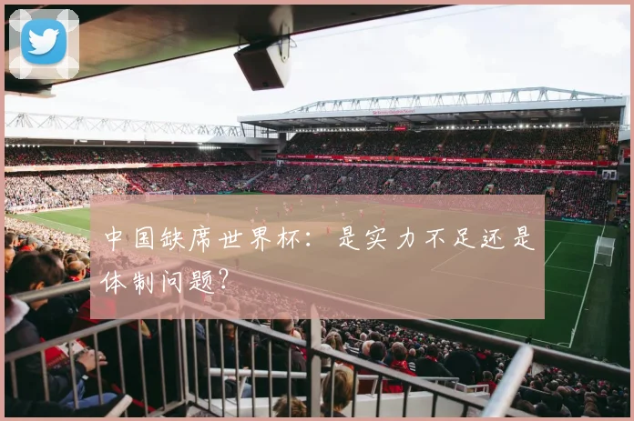 中国缺席世界杯：是实力不足还是体制问题？
